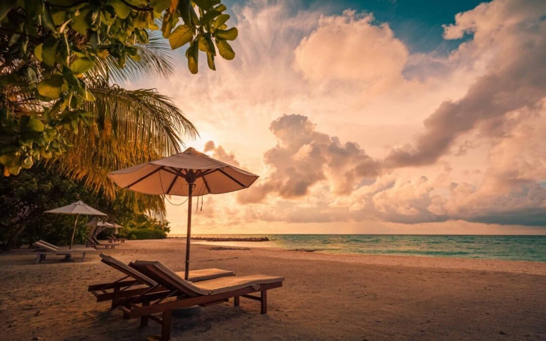 Un été tout en mouvement : les cours SPOT de juillet 2025